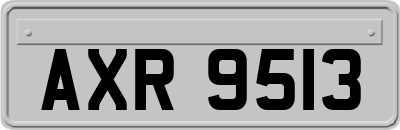 AXR9513