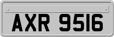 AXR9516