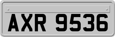 AXR9536