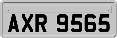AXR9565