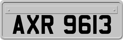 AXR9613