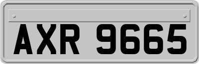 AXR9665