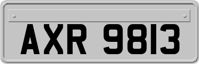 AXR9813