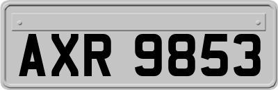 AXR9853