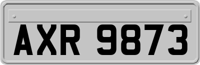 AXR9873