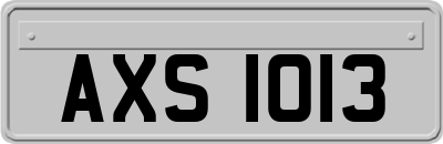 AXS1013