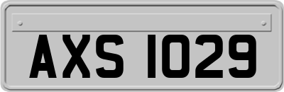 AXS1029