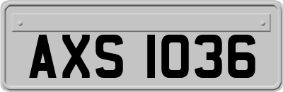 AXS1036