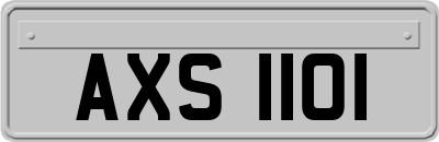 AXS1101