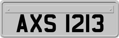 AXS1213