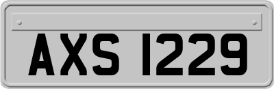 AXS1229