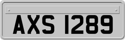 AXS1289