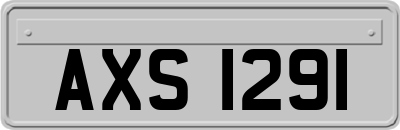 AXS1291