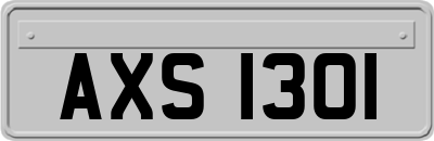 AXS1301