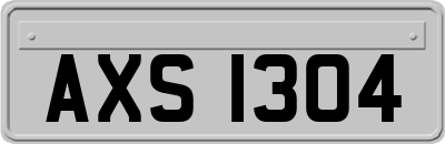AXS1304