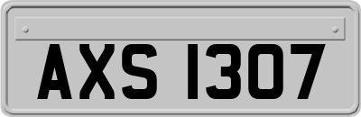 AXS1307