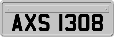 AXS1308