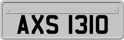 AXS1310