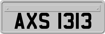 AXS1313
