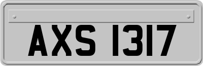 AXS1317
