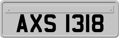 AXS1318