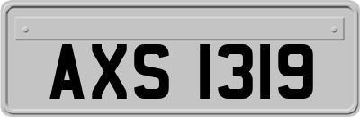 AXS1319