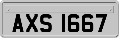 AXS1667