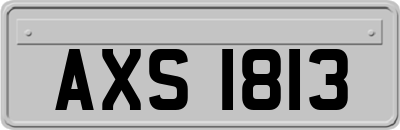 AXS1813