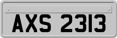 AXS2313