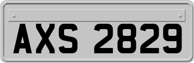 AXS2829