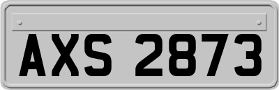 AXS2873
