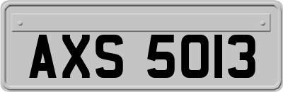AXS5013