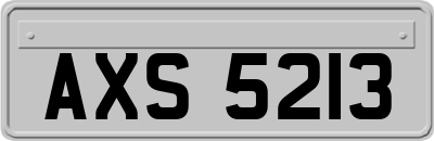AXS5213