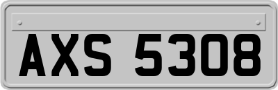 AXS5308