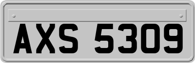 AXS5309