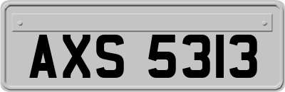 AXS5313