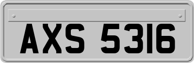 AXS5316