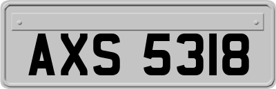 AXS5318