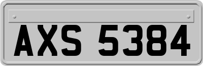 AXS5384