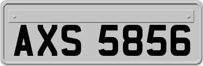 AXS5856