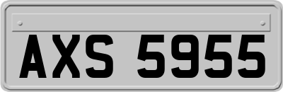 AXS5955