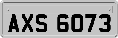 AXS6073