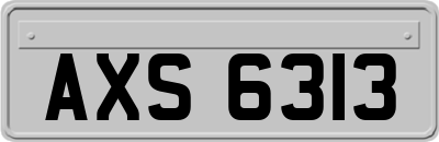AXS6313