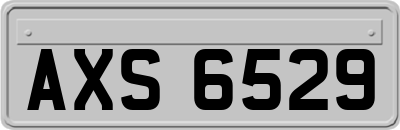 AXS6529