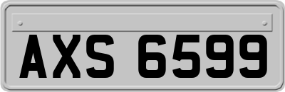 AXS6599