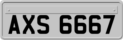 AXS6667