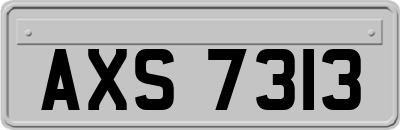 AXS7313