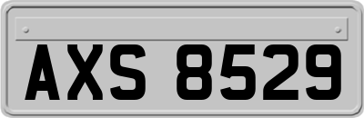 AXS8529