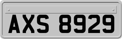 AXS8929
