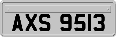 AXS9513
